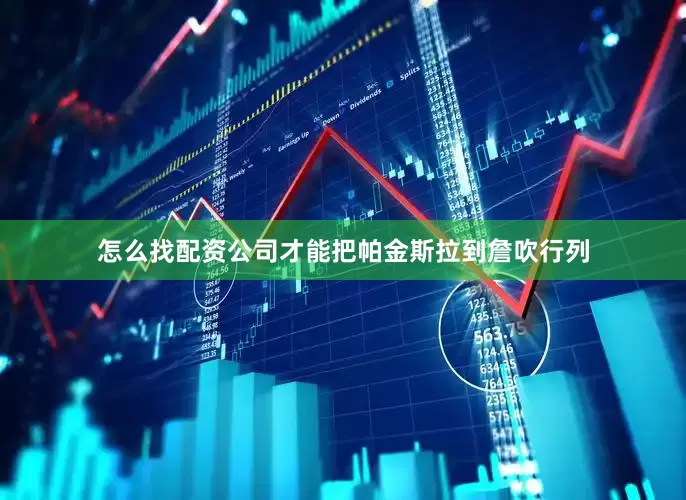 怎么找配资公司才能把帕金斯拉到詹吹行列