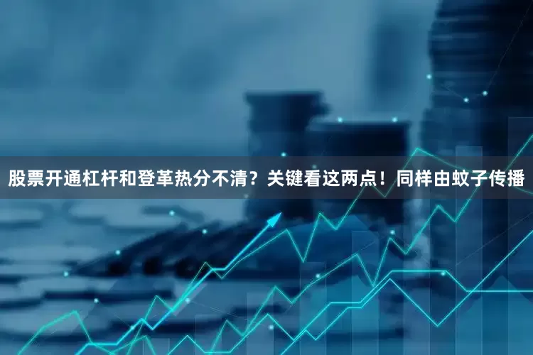 股票开通杠杆和登革热分不清？关键看这两点！同样由蚊子传播